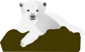 Polar Bear On A Rock Clip Art